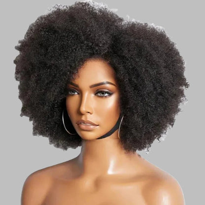 BRYELLE Curly Afro Lace Front Human Hair Wigs Afro Kinky Curly Transparent Lace Front Wigs