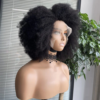 BRYELLE Curly Afro Lace Front Human Hair Wigs Afro Kinky Curly Transparent Lace Front Wigs