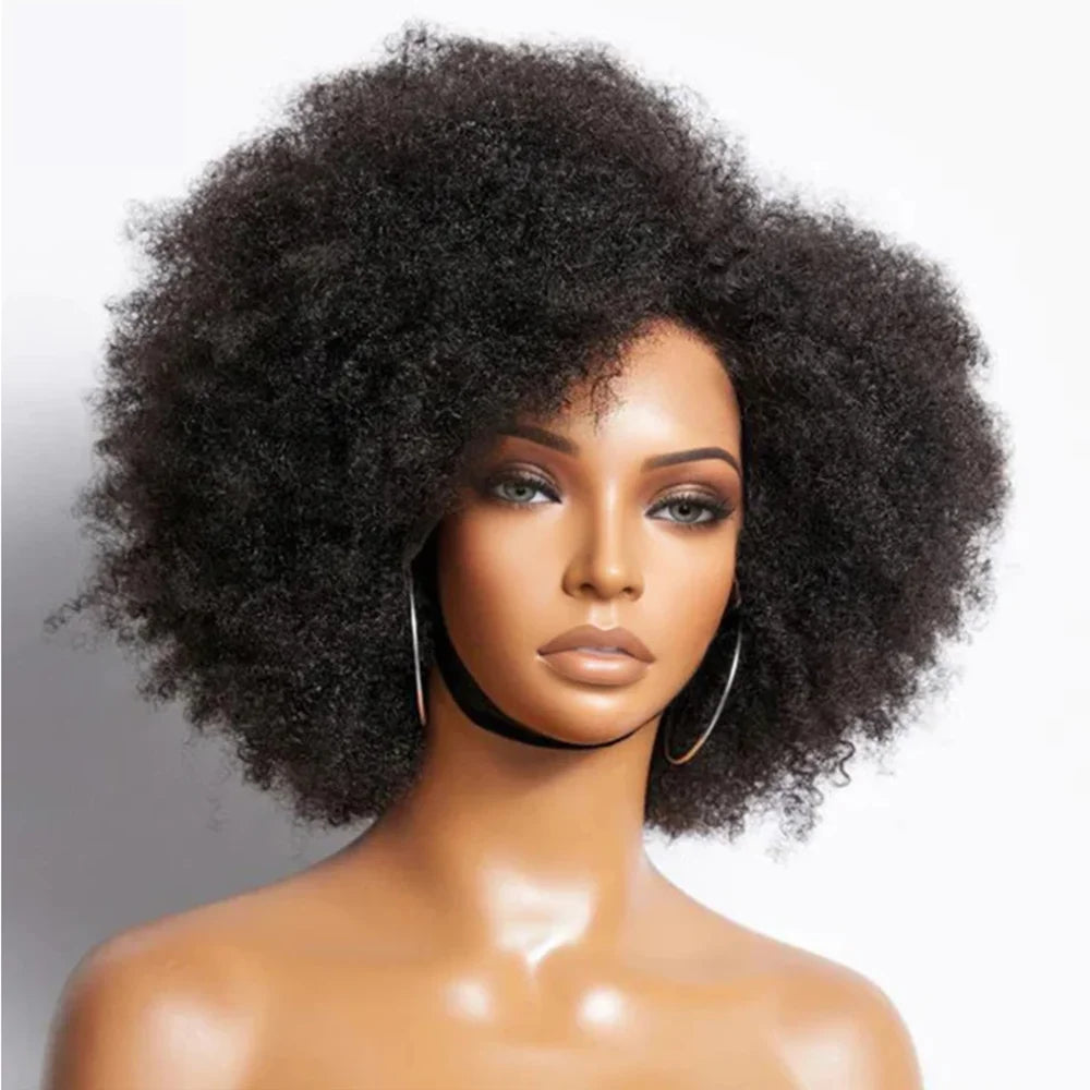 BRYELLE Curly Afro Lace Front Human Hair Wigs Afro Kinky Curly Transparent Lace Front Wigs